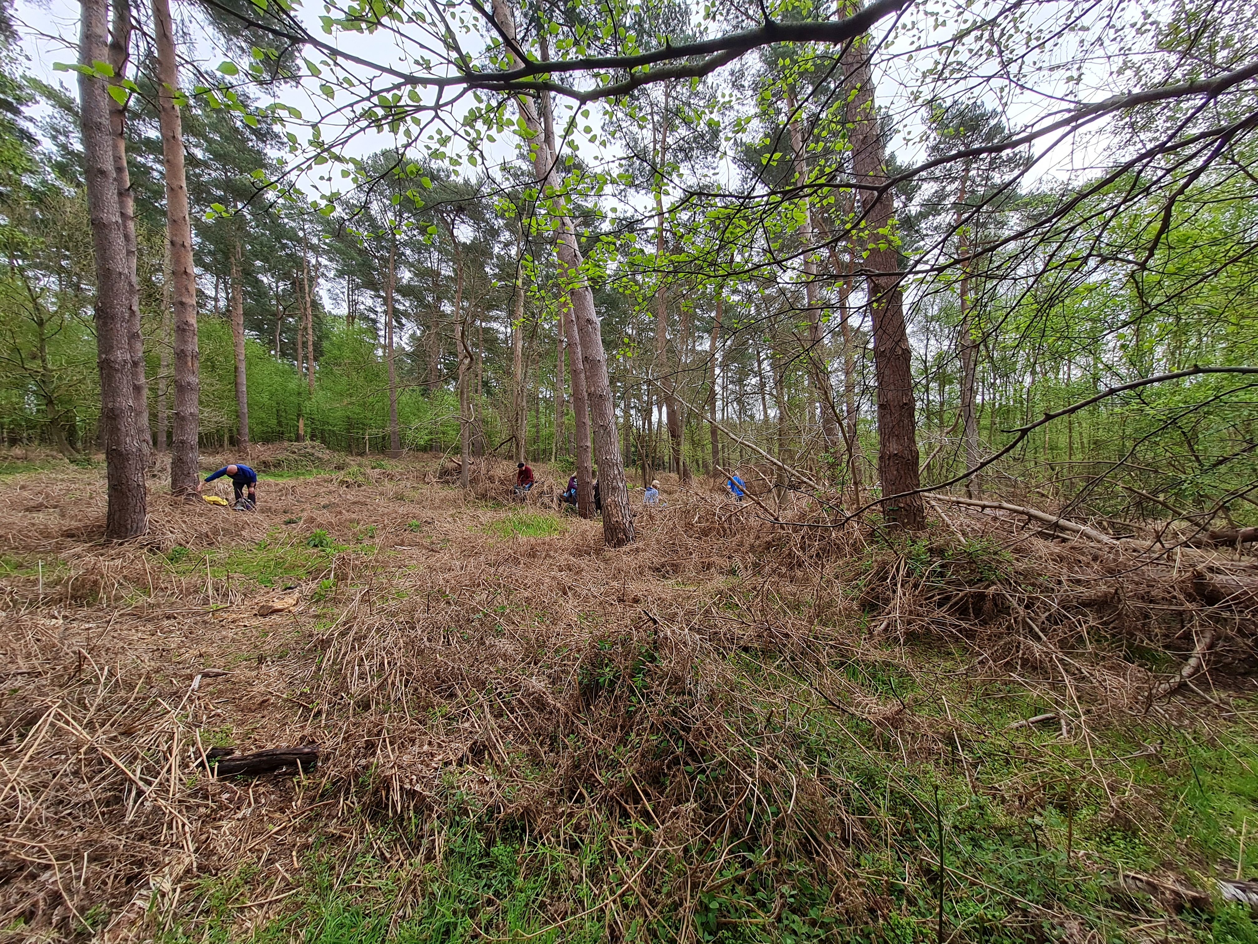 2021-05-13 05 Sandlings 11 - Dunwich.jpg