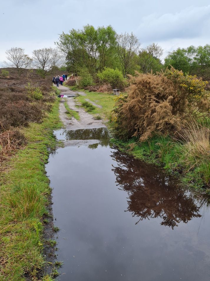 2021-05-19 07 Dunwich Heath.jpg