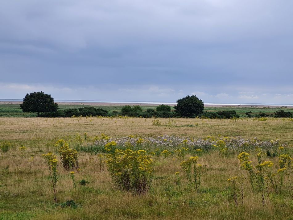 2021-08-18 07 Dunwich.jpg