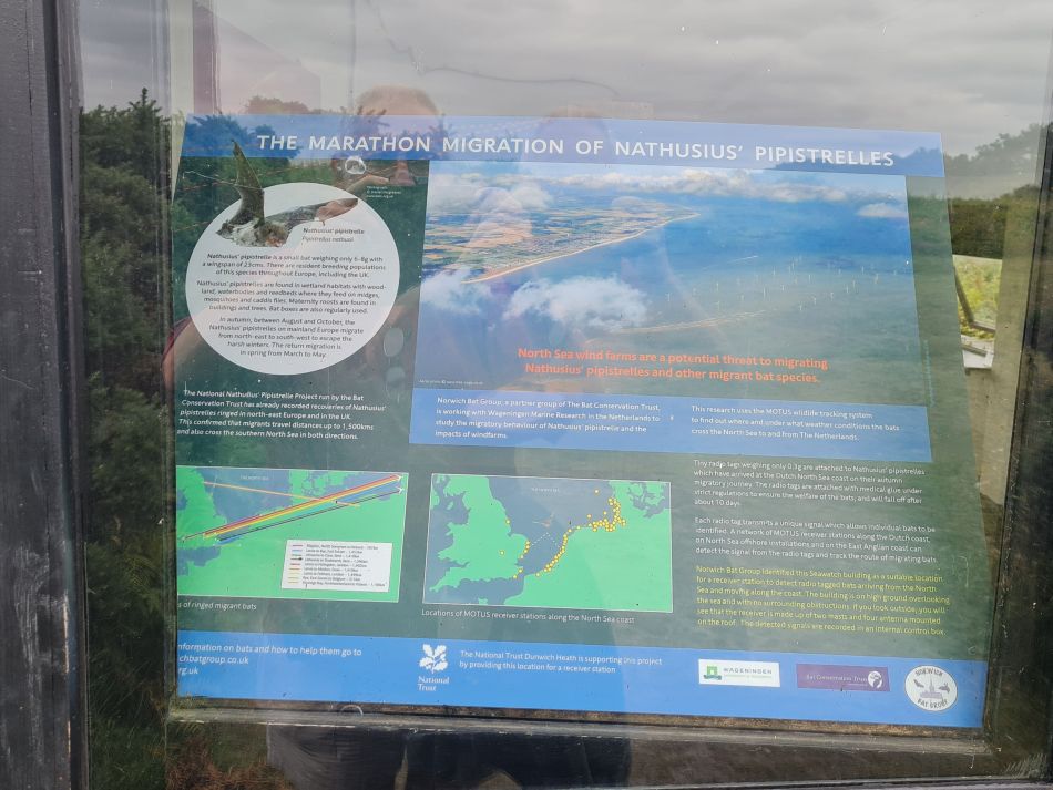 2021-08-18 12 Dunwich.jpg