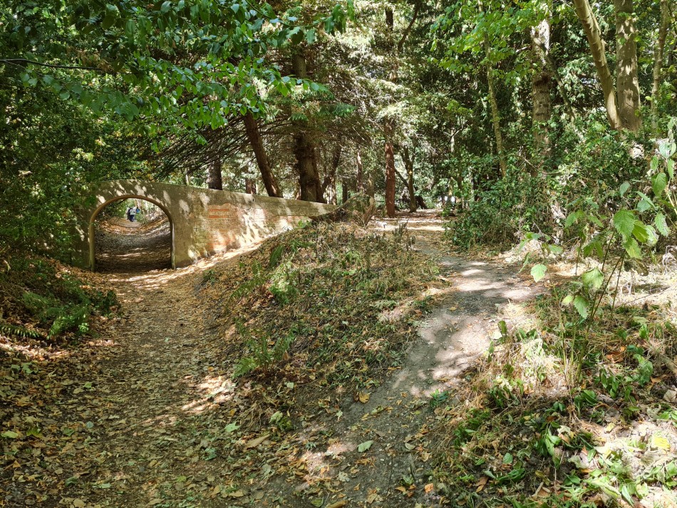 2022-08-07 09 Coastguard Cottages.jpg