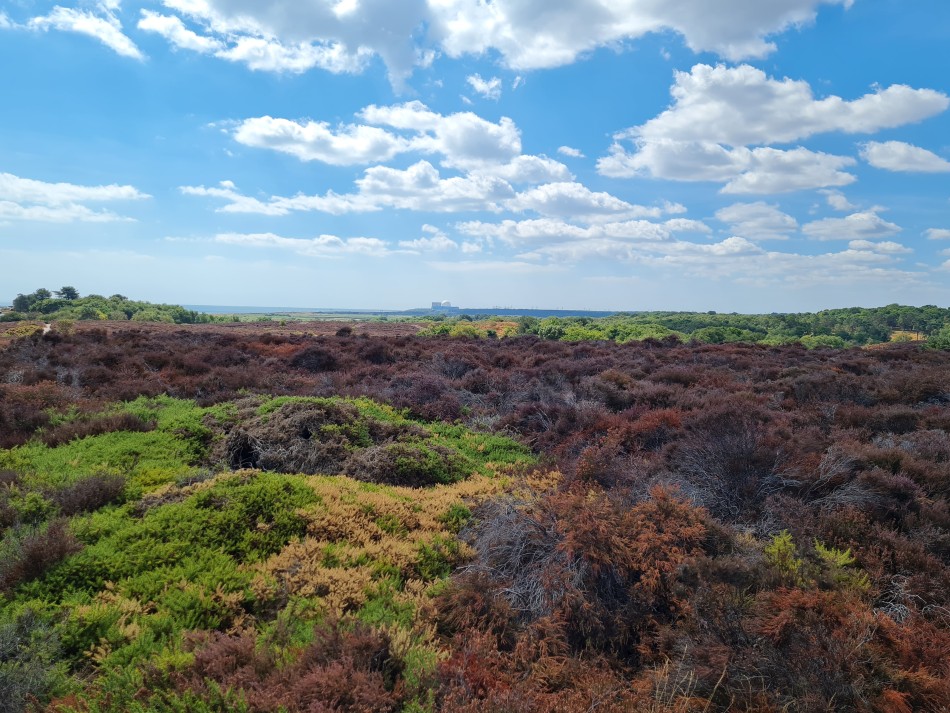 2022-08-07 13 Coastguard Cottages.jpg