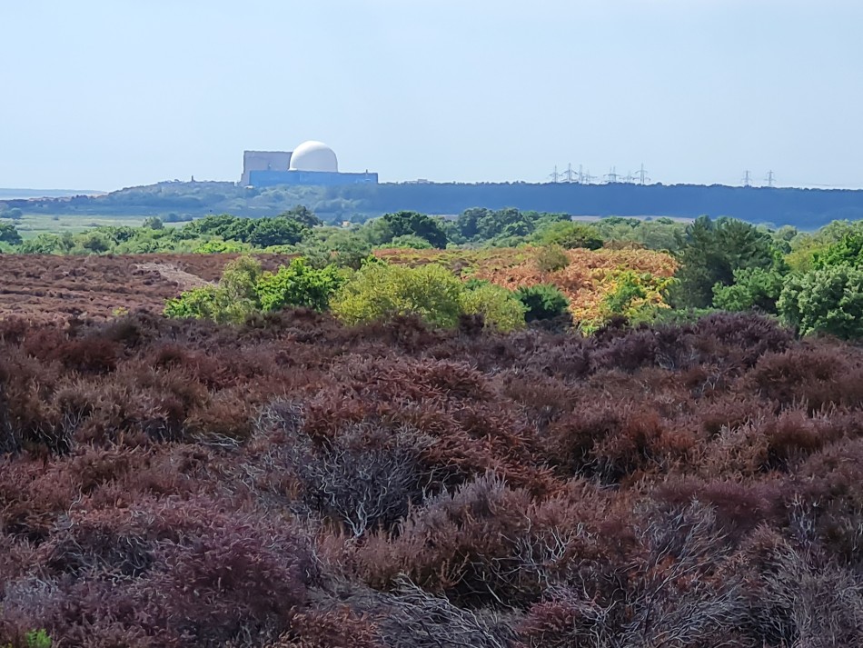 2022-08-07 14 Coastguard Cottages.jpg