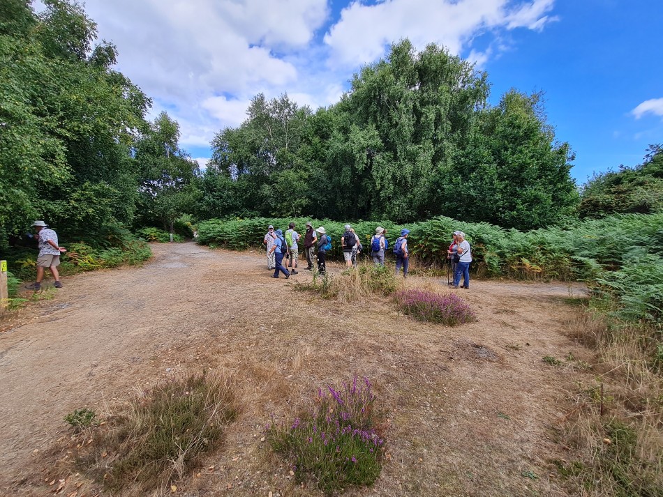 2022-08-07 18 Coastguard Cottages.jpg