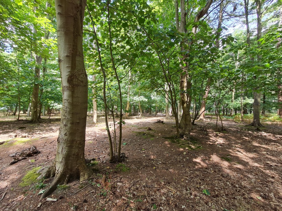 2022-08-07 19 Coastguard Cottages.jpg