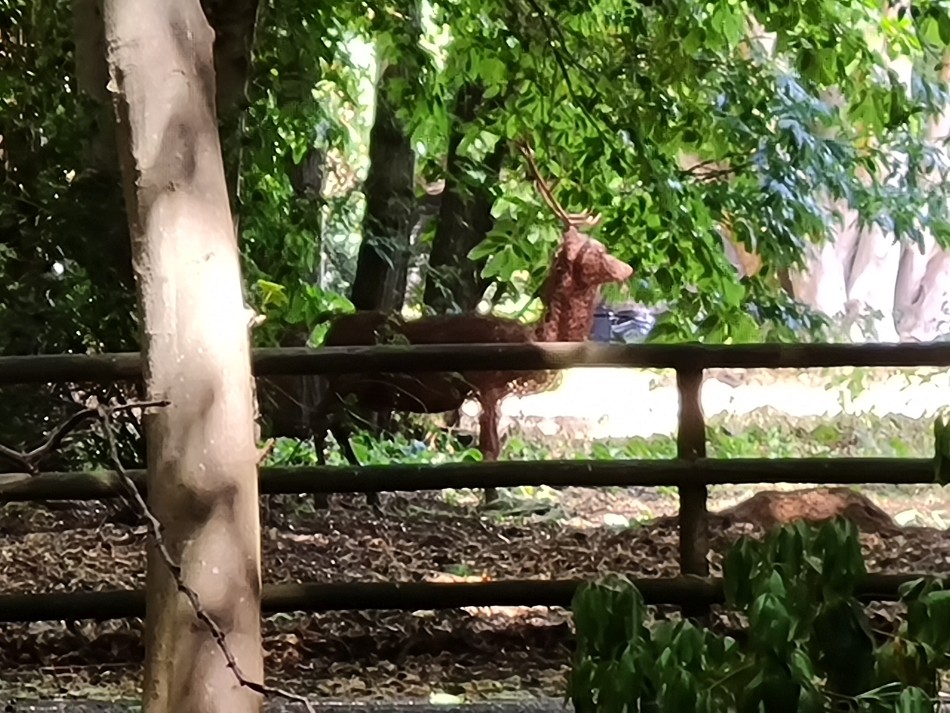 2022-08-07 20 Coastguard Cottages.jpg