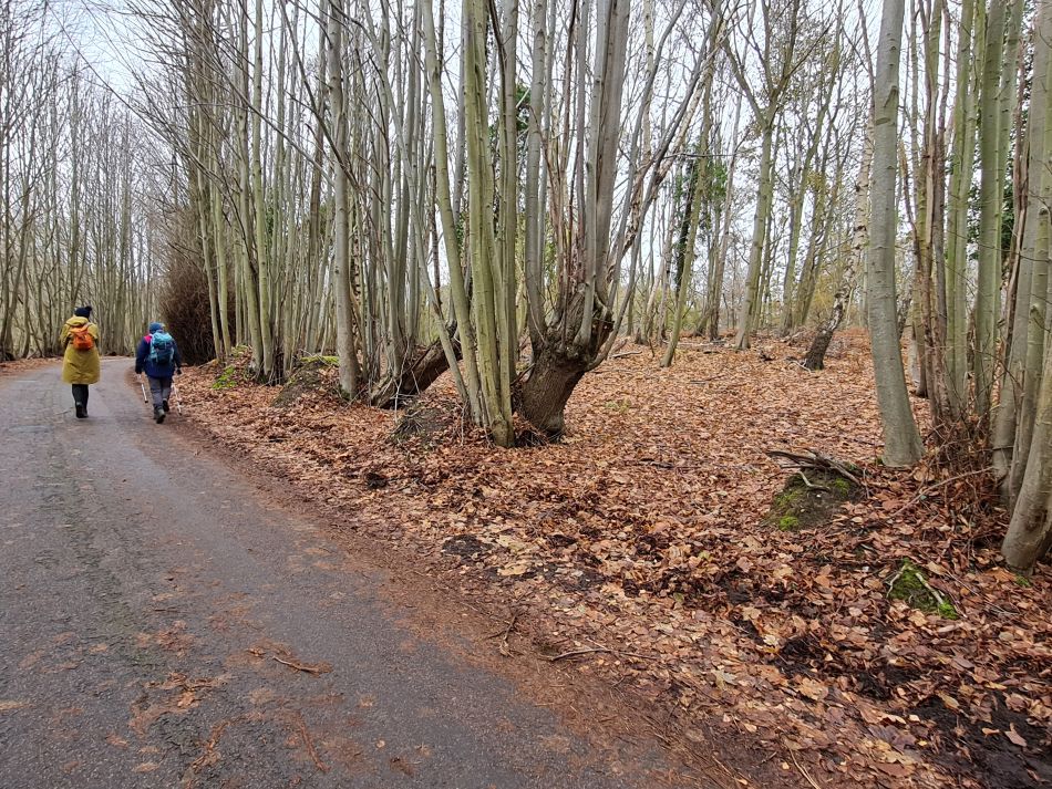 2022-12-18 06 Dunwich.jpg