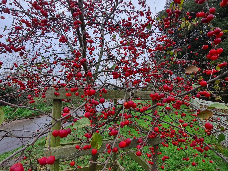 2022-12-18 13 Dunwich.jpg