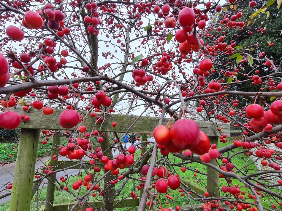 2022-12-18 14 Dunwich.jpg