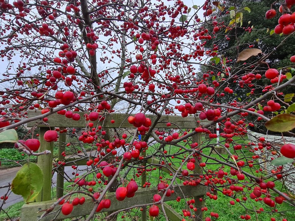 2022-12-18 15 Dunwich.jpg