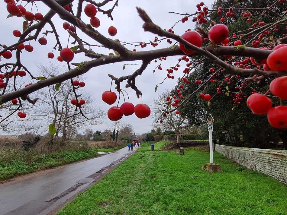 2022-12-18 16 Dunwich.jpg