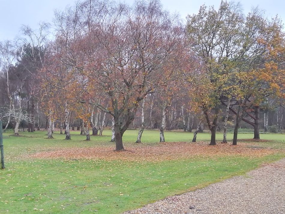 2023-12-03 07 Dunwich.jpg