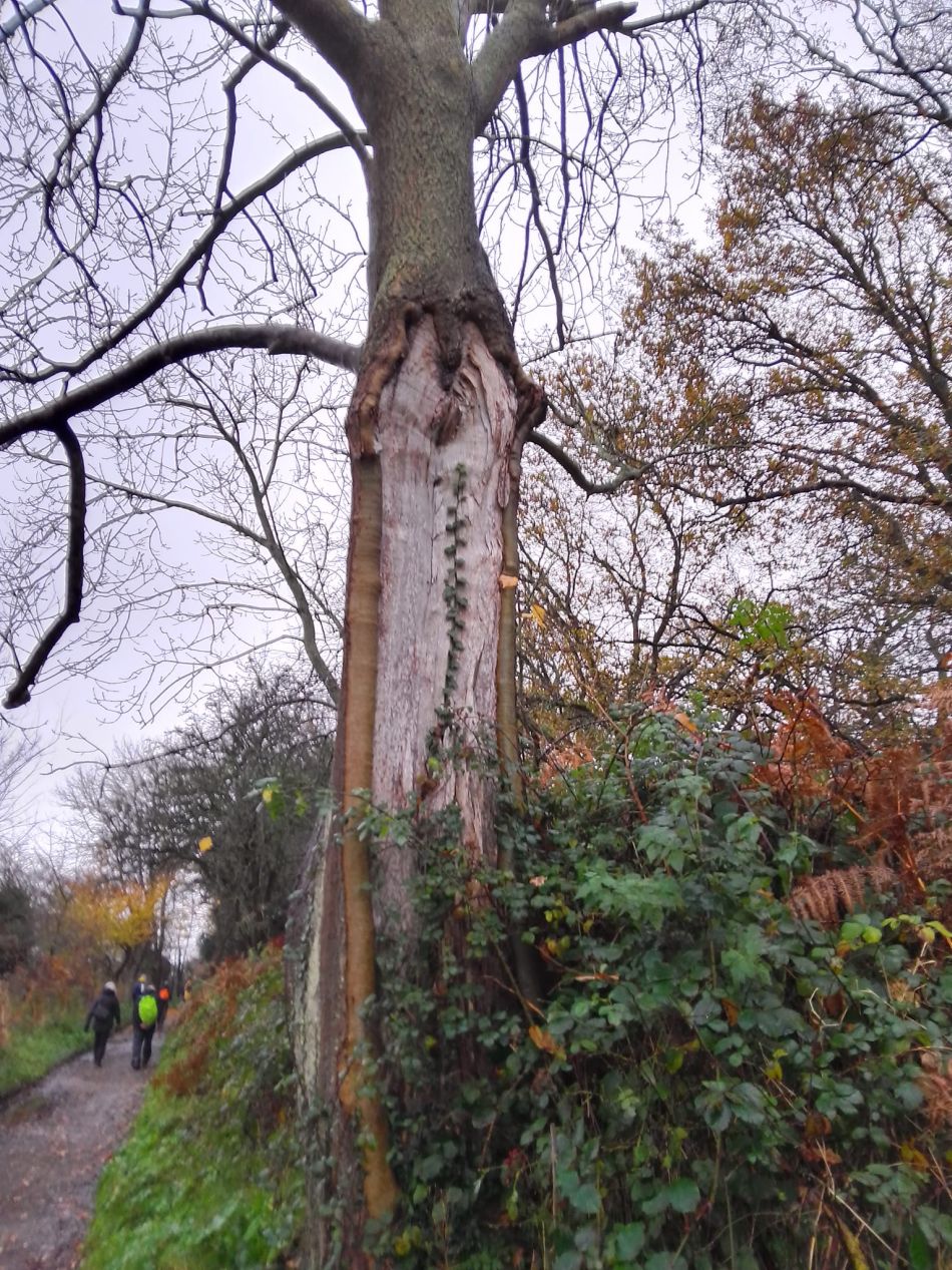 2023-12-03 12 Dunwich.jpg