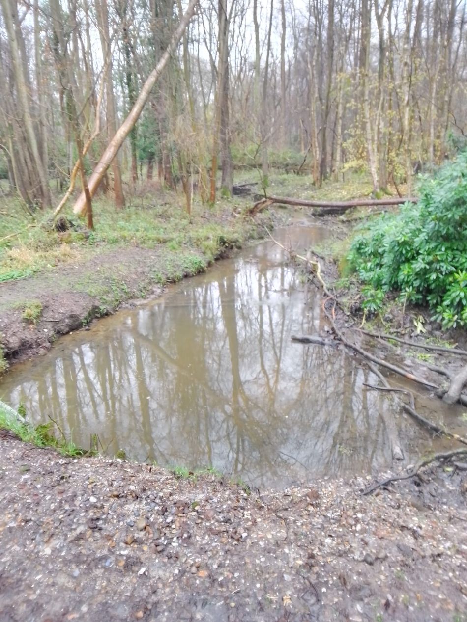 2023-12-03 13 Dunwich.jpg