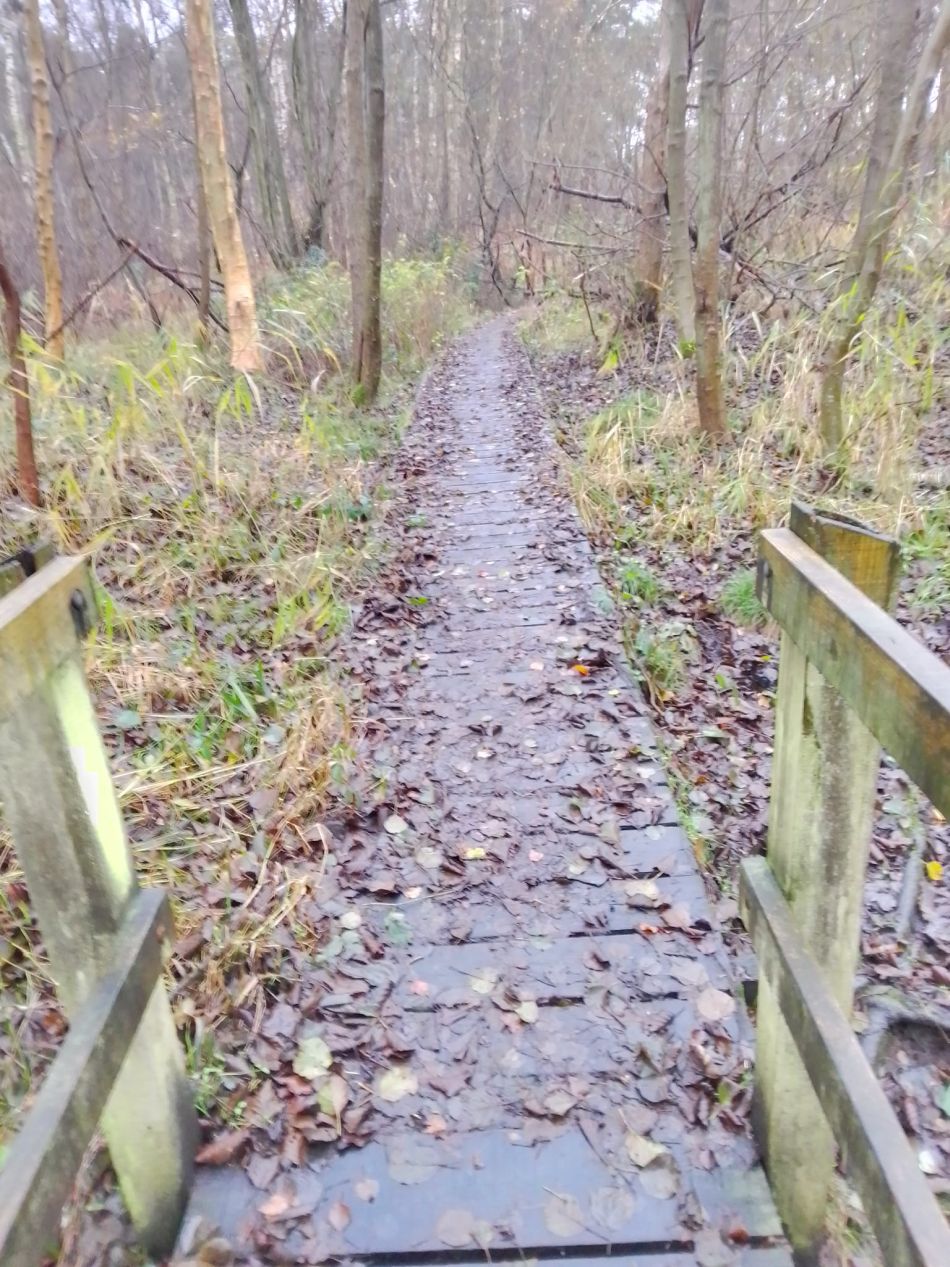 2023-12-03 15 Dunwich.jpg