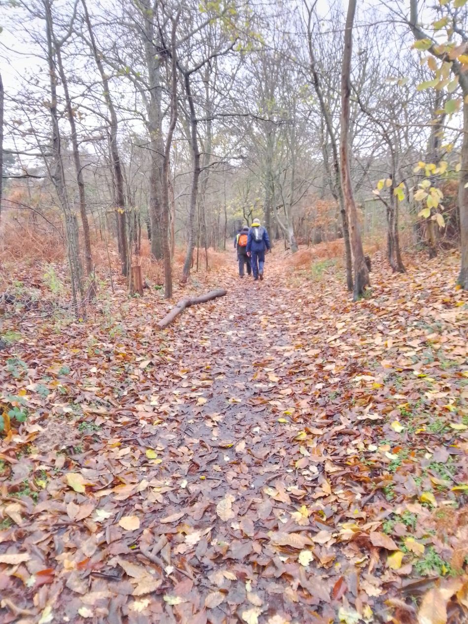 2023-12-03 21 Dunwich.jpg