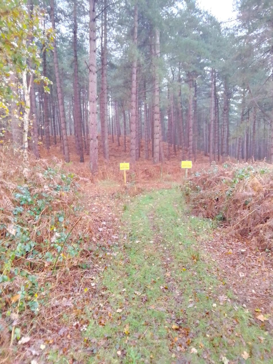 2023-12-03 23 Dunwich.jpg