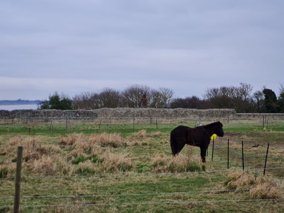 2024-01-17 48 Dunwich.jpg