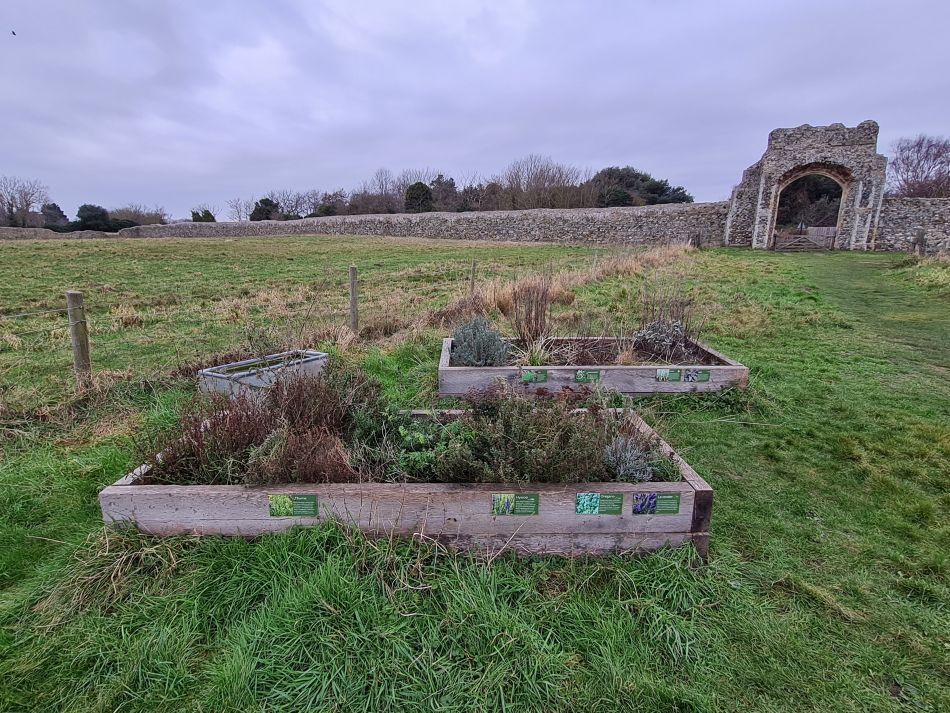 2024-01-17 50 Dunwich.jpg