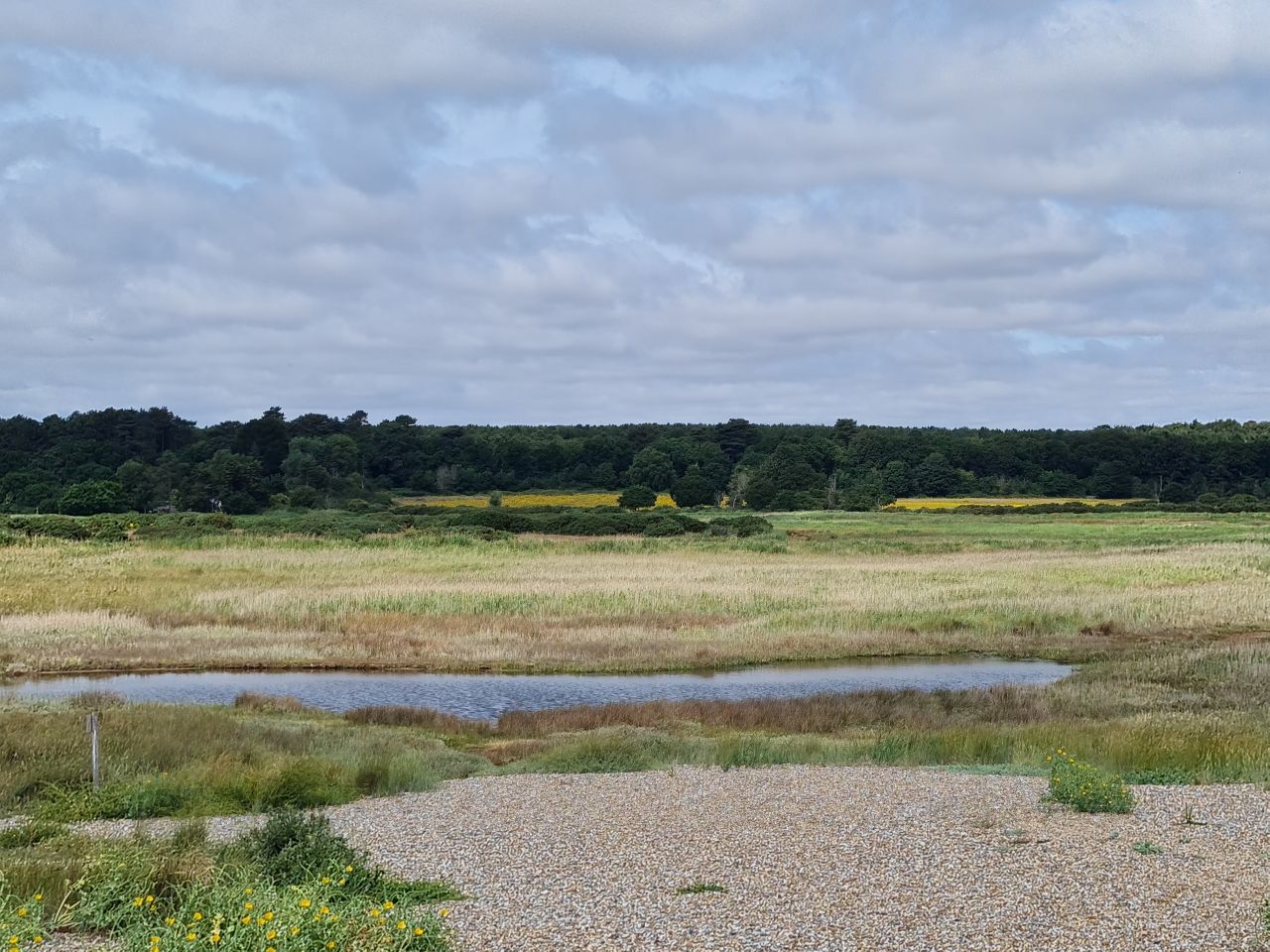2025-07-05 09 Dunwich Dingle Marshes and Forest.jpg