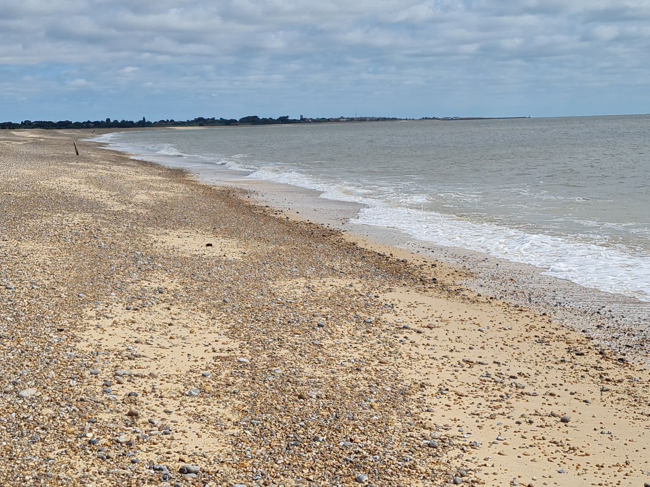 2025-07-05 11 Dunwich Dingle Marshes and Forest.jpg