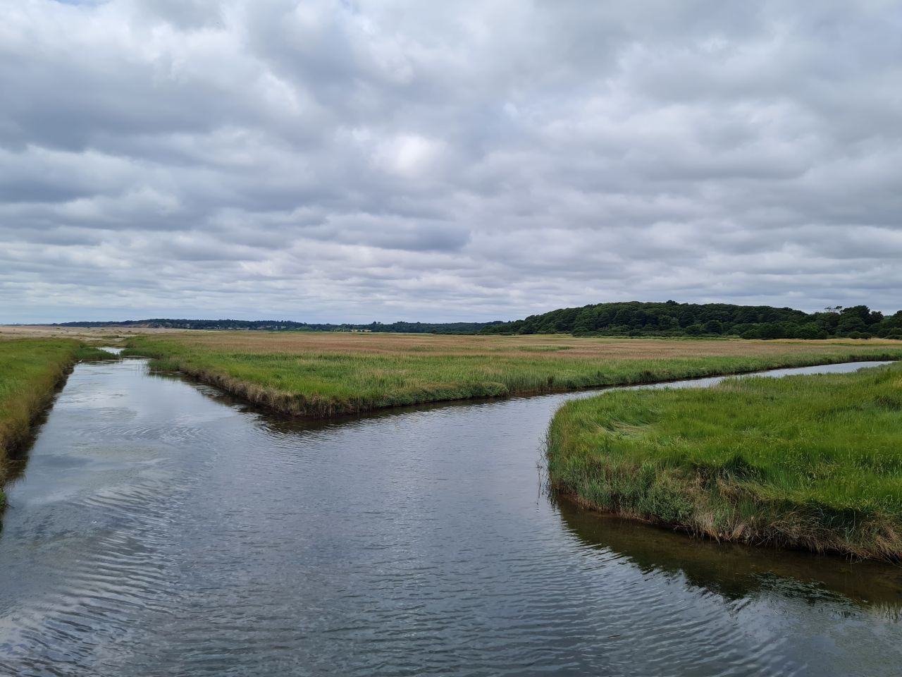 2025-07-05 13 Dunwich Dingle Marshes and Forest.jpg