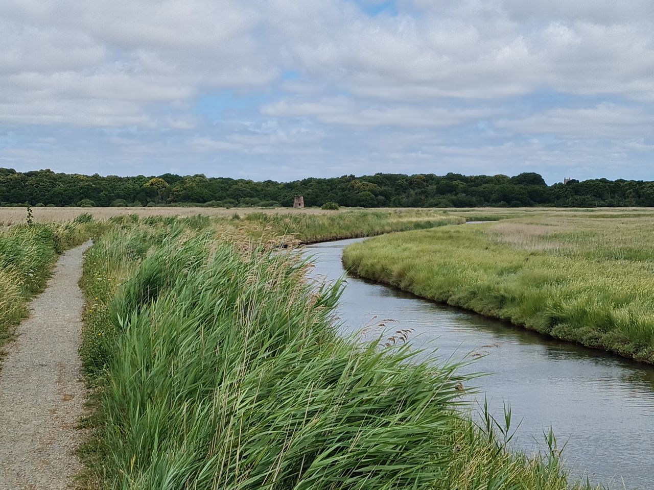 2025-07-05 14 Dunwich Dingle Marshes and Forest.jpg
