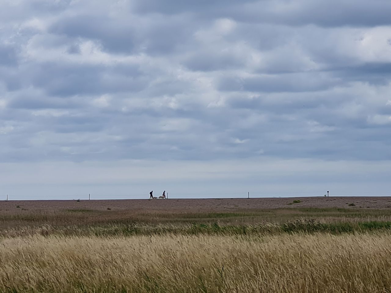 2025-07-05 16 Dunwich Dingle Marshes and Forest.jpg