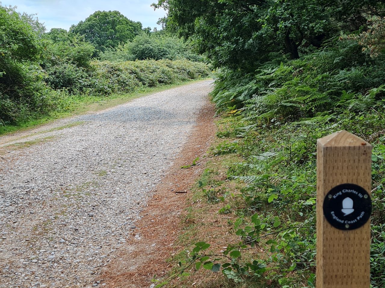 2025-07-05 22 Dunwich Dingle Marshes and Forest.jpg