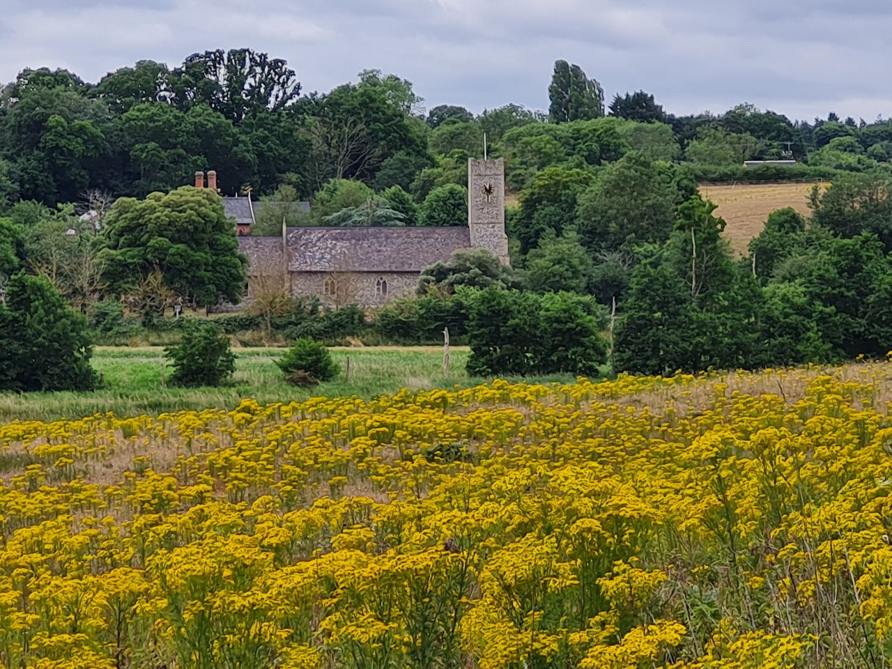 2025-07-05 25 Dunwich Dingle Marshes and Forest.jpg
