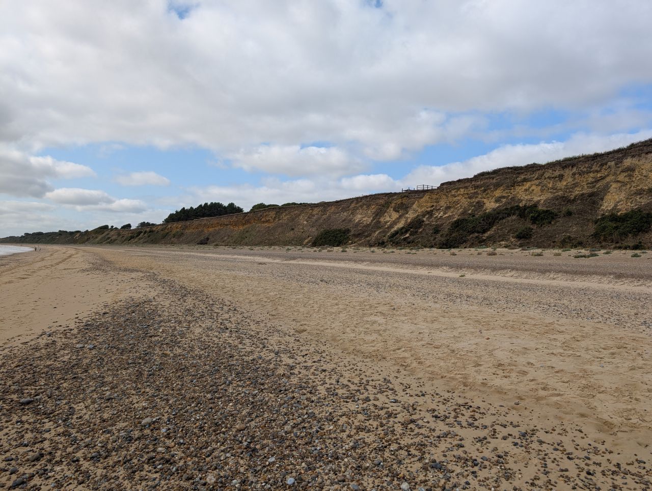 2025-08-17 01 Dunwich and Heath.jpg