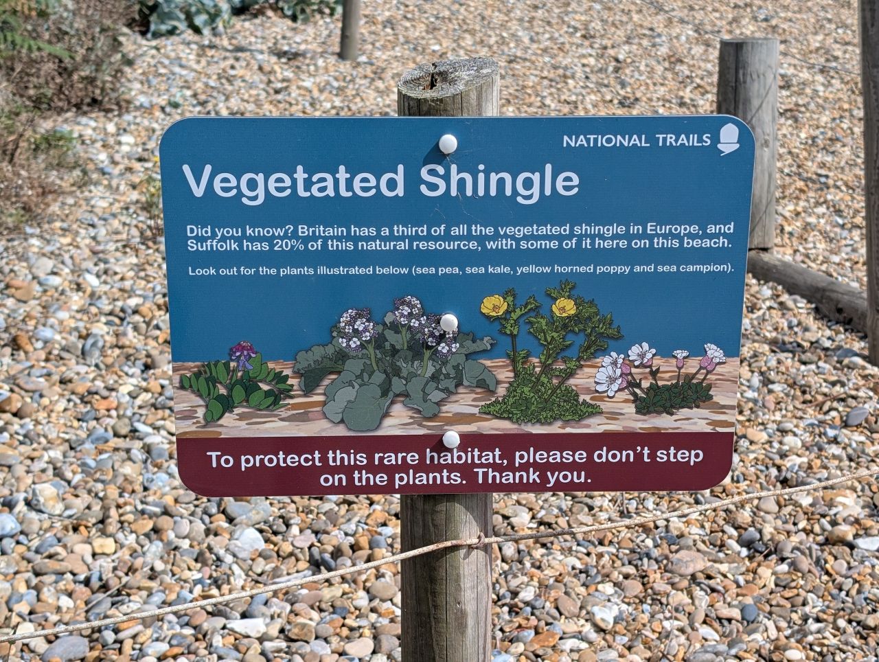 2025-08-17 06 Dunwich and Heath.jpg