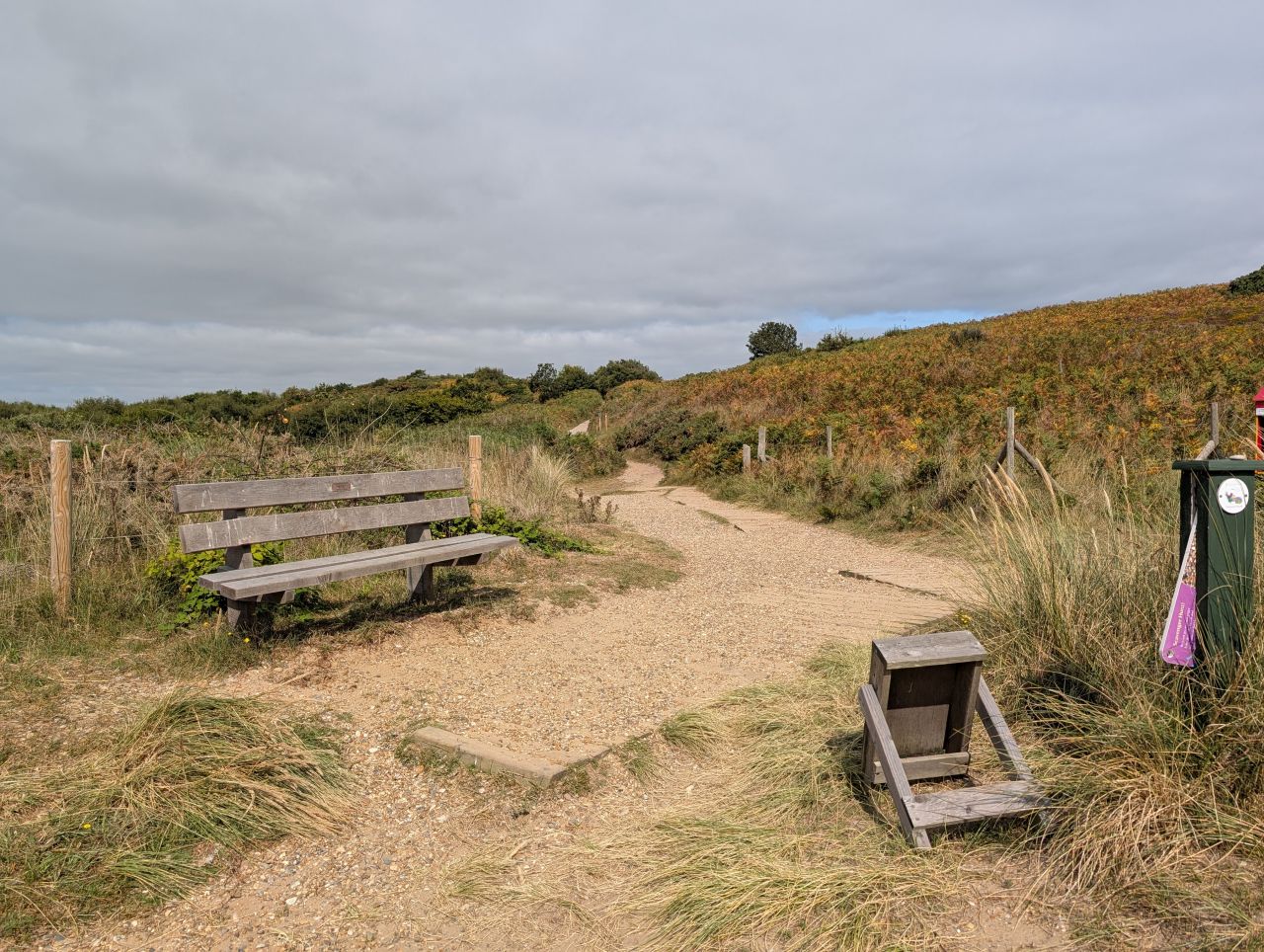 2025-08-17 07 Dunwich and Heath.jpg