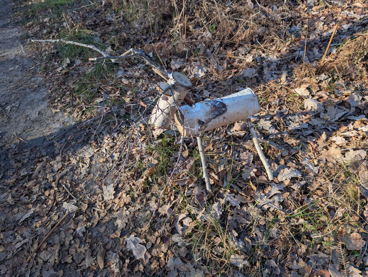 2026-01-02 02 Dunwich and Coastguard Cottages.jpg