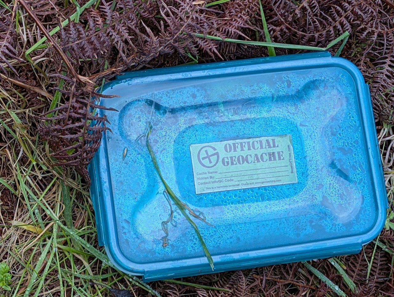 2026-01-16 01 Dunwich Gyrations.jpg