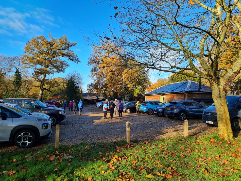 2023-11-28 02 Thornham Walks and Wickham Skeith.jpg