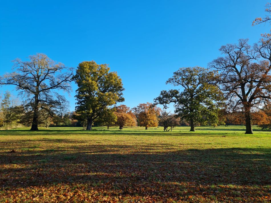 2023-11-28 03 Thornham Walks and Wickham Skeith.jpg