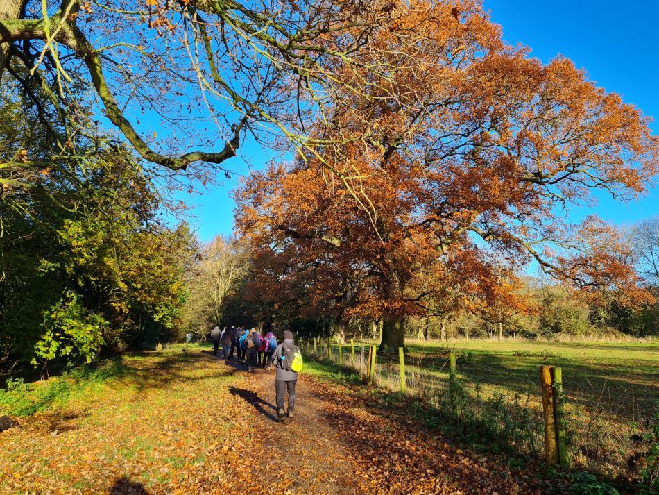 2023-11-28 05 Thornham Walks and Wickham Skeith.jpg