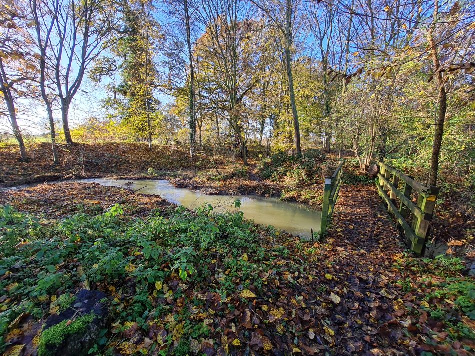 2023-11-28 06 Thornham Walks and Wickham Skeith.jpg