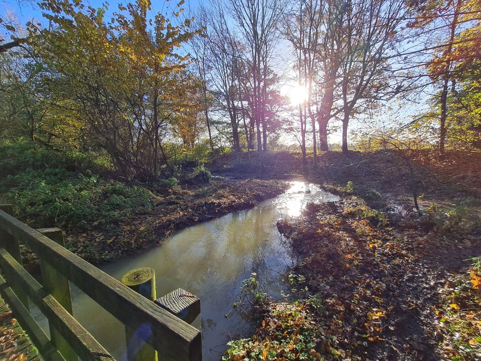 2023-11-28 07 Thornham Walks and Wickham Skeith.jpg