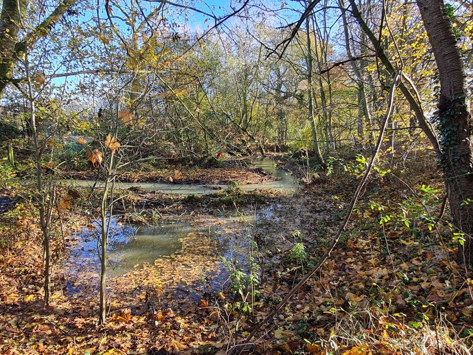 2023-11-28 08 Thornham Walks and Wickham Skeith.jpg