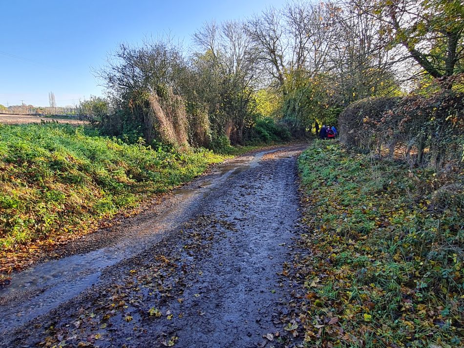 2023-11-28 10 Thornham Walks and Wickham Skeith.jpg