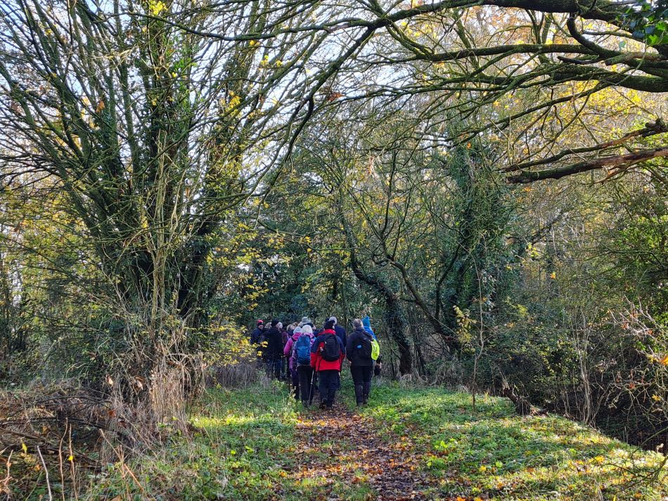 2023-11-28 12 Thornham Walks and Wickham Skeith.jpg