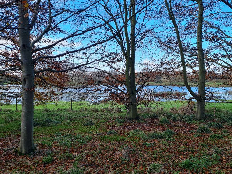 2023-11-28 19 Thornham Walks and Wickham Skeith.jpg