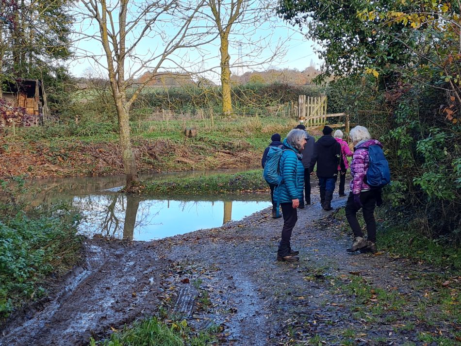 2023-11-28 20 Thornham Walks and Wickham Skeith.jpg