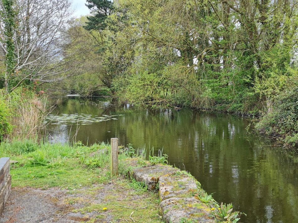 2024-04-17 02 Chichester Canal.jpg