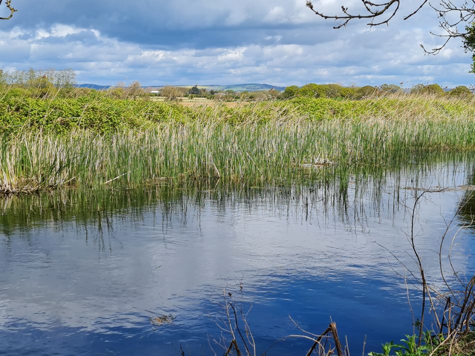 2024-04-17 04 Chichester Canal.jpg