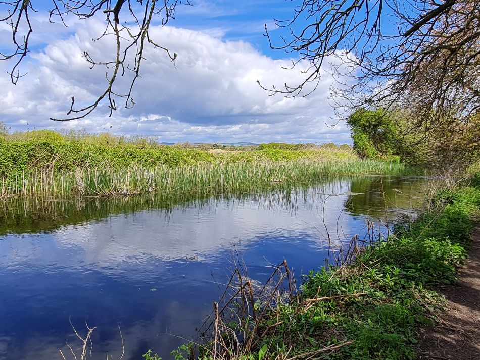2024-04-17 05 Chichester Canal.jpg