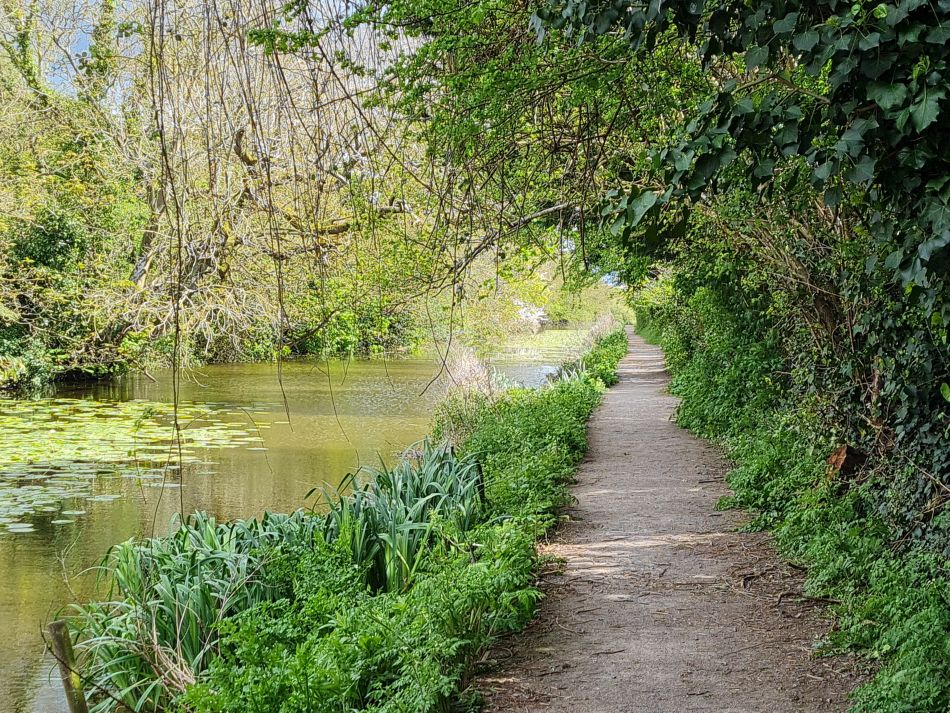2024-04-17 08 Chichester Canal.jpg
