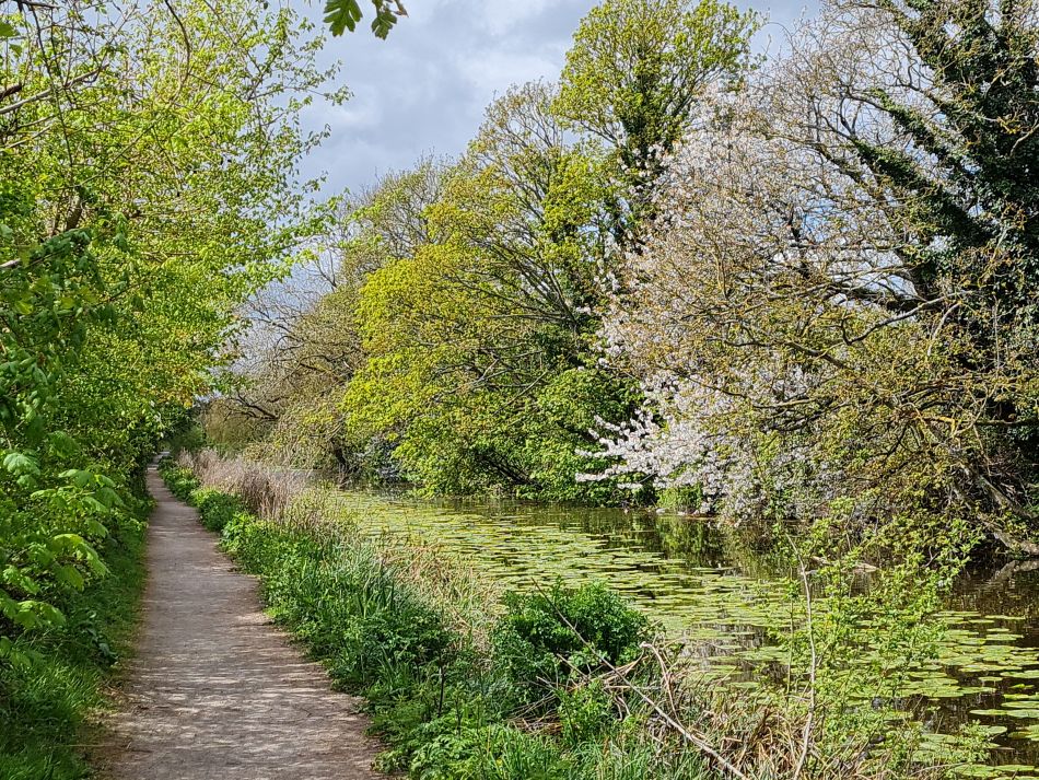 2024-04-17 09 Chichester Canal.jpg